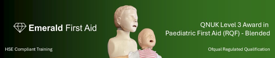 Paediatric First Aid