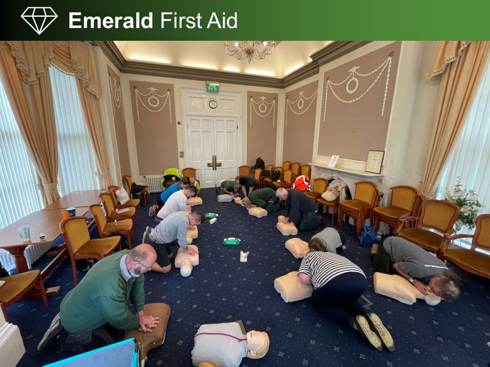 Emergency First Aid Emergency First Aid